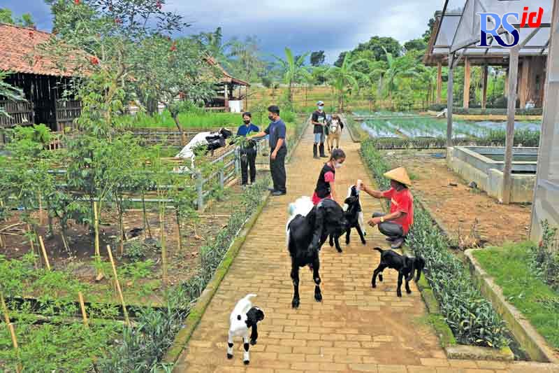Pengunjung yang membawa anak-anaknya sedang asyik memberi makan kambing di Nirwana Farm. (NUR CHAMIM/ JAWA POS RADAR SEMARANG)