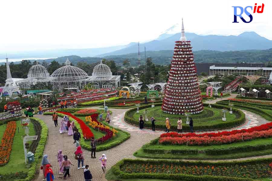 Taman Bunga Celosia  memiliki luas 8,6 hektare dan terdapat beberapa spot foto yang sangat menarik. Seperti Little Italia, Little Korea, Dermaga Putih, Taman Bunga, dan Marine Park. Juga ada lho spot foto Little Eropa, Little Japan dan masih banyak spot l