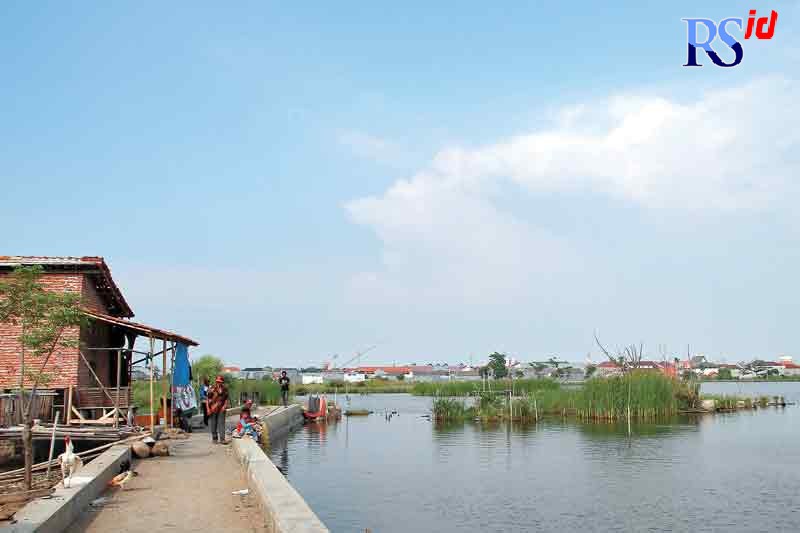 Salah satu bekas lahan tambak dan persawahan di pesisir Kota Pekalongan yang kini terendam rob. (Lutfi Hanafi/Jawa Pos Radar Semarang)