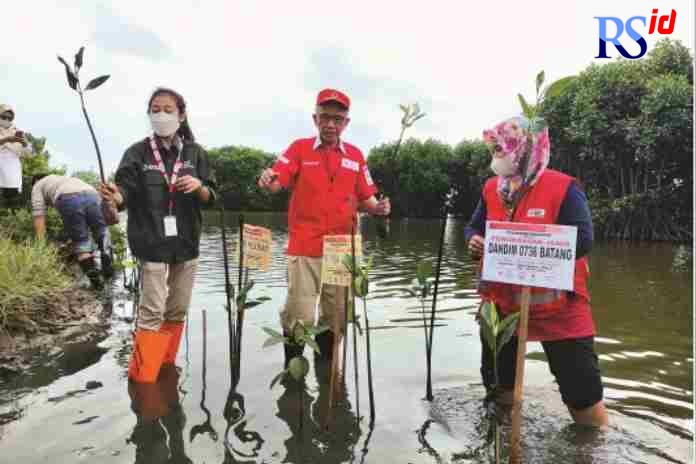 TANAM MANGROVE : Aksi tanam mangrove dalam kunjungan PMI Pusat dan daerah lain di Kabupaten Batang. (RIYAN FADLI JAWA POS RADAR SEMARANG)