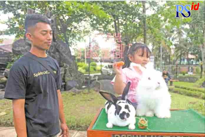 BERMAIN BARENG KELINCI: Seorang pengunjung yang sedang menggendong kelinci di Omah Terwelu, wahana baru di Taman Kyai Langgeng Kota Magelang Rabu (22/12). (ROFIK SYARIF G P/RADAR MAGELANG)