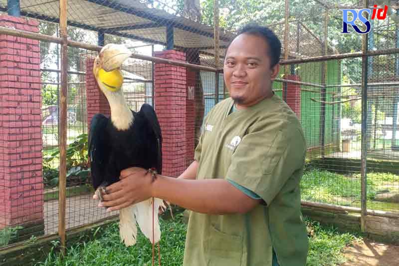 drh Hendrik Tri Setiawan mengecek kesehatan burung di Semarang Zoo. (ADENNYAR WYCAKSONO/JAWA POS RADAR SEMARANG)