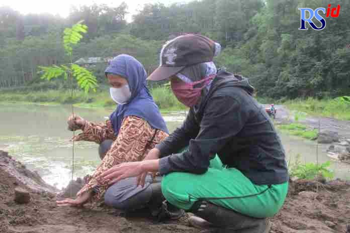 DIHIJAUKAN : Warga Dusun Kemiren menanam pohon di bekas jalur akses tambang menuju eks Desa Ngori. Jalur tersebut akan dibuat tanggul alami. (ISTIMEWA)