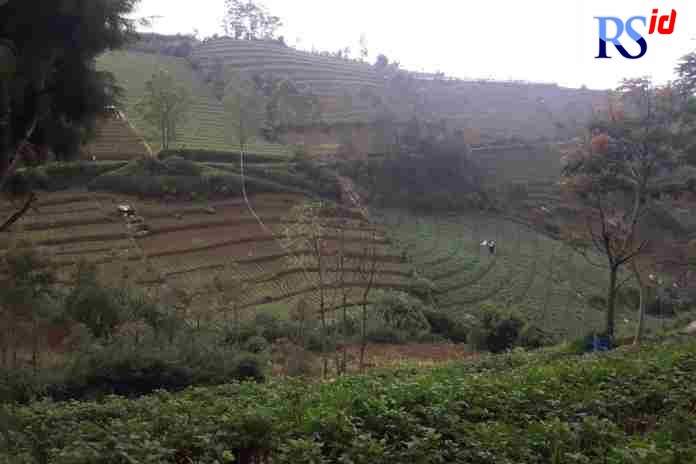 RAWAN LONGSOR : Kondisi daerah hulu Dieng yang mayoritas hamparan tanahnya ditanami kentang oleh para petani. (Sigit Rahmanto/Jawa Pos Radar Magelang)