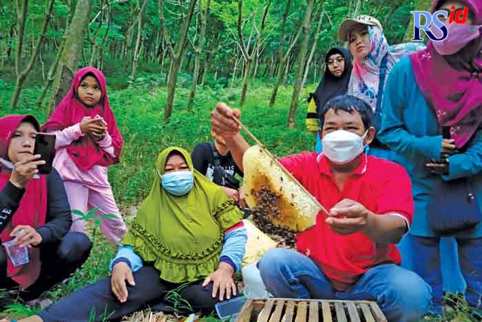 Lestari bersama suaminya saat memetik sarang lebah di wisata petik madu Desa Kedawung, Kecamatan Banyuputih. (RIYAN FADLI/JAWA POS RADAR SEMARANG)