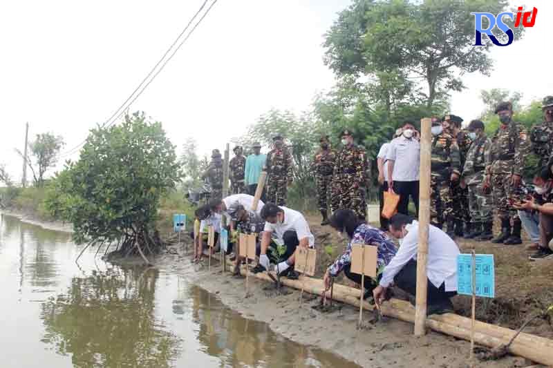 Bupati Kendal Dico Mahtado Ganinduto melakukan penanaman mangrove di area tambak Pantai Wonosari, Patebon. (DEVI KHOFIFATUR RIZQI/ JAWA POS RADAR SEMARANG)