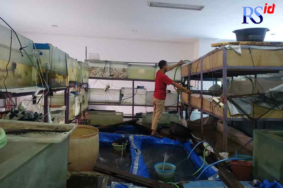 Salah satu pedagang di Pasar Ikan Higienis Mina Rejomulyo Semarang. (M Iqbal Amar/Jawa Pos Radar Semarang)