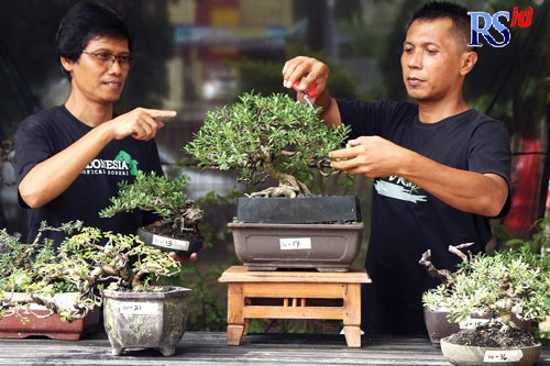Tanaman bonsai yang terlihat indah dan memiliki nilai ekonomis tinggi. (NUR CHAMIM/ JAWA POS RADAR SEMARANG)