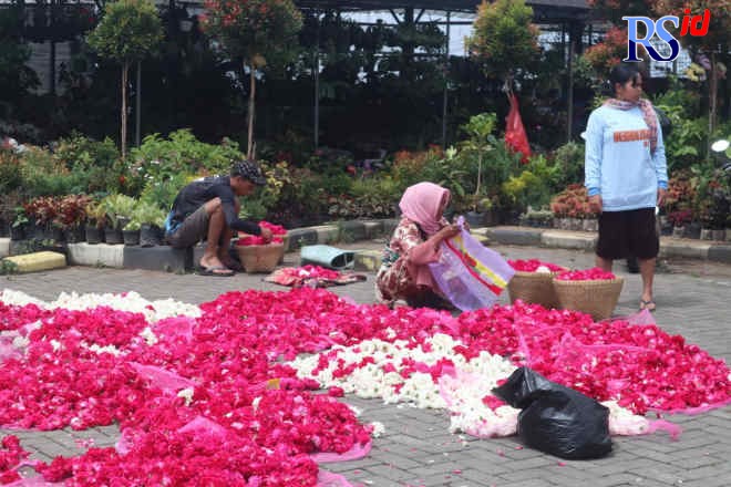 Tengkulak dan para warga melakukan transaksi jual beli di Pasar Bunga Bandungan. (NURFAIK NABHAN/Jawa Pos Radar Semarang)