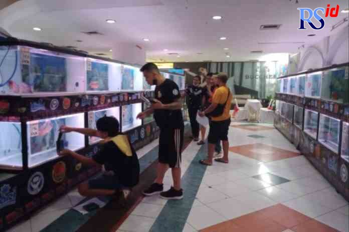 MERIAH : Beragam ikan didisplai dalam kontes Gubernur Cup di Plasa Simpang Lima Jumat (13/5). (FIGUR RONGGO WASSALIM/ JAWA POS RADAR SEMARANG)