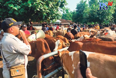 Petugas DKPP Kabupaten Pekalongan melakukan pengawasan dan sosialisasi di Pasar Hewan Kajen, Rabu (22/6). (Istimewa)