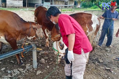DKPP Kabupaten Pekalongan saat melakukan pemeriksaan hewan ternak di Pasar Hewan Kajen, bulan lalu. (Istimewa)