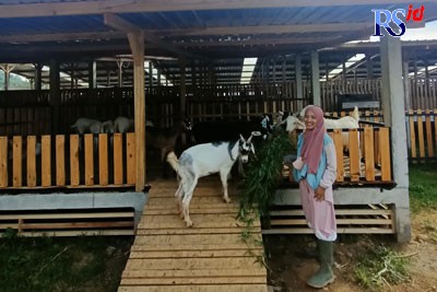 Kepala Bidang Informasi dan Publikasi Diskominfo Wonosobo, Aldiana