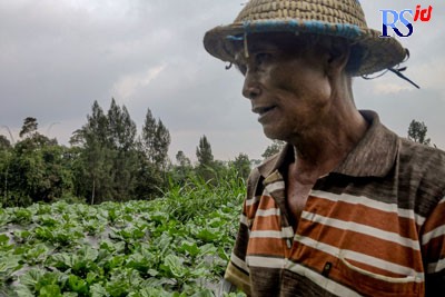 Karno, salah satu petani sayur di lereng Gunung Merbabu. (M. Iqbal Amar/Jawa Pos Radar Semarang)