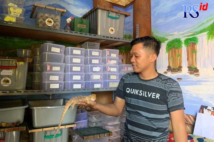 Ryo Ananda bersama koleksi kadal hiasnya. (Nada Trisnawati/Jawa Pos Radar Semarang)