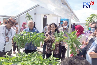 Ketua TP PKK Kota Semarang Krisseptiana Hendrar Prihadi saat panen sayur di rooftop Unika, Kamis (1/9). (KHAFIFAH ARINI PUTRI/JAWA POS RADAR SEMARANG)