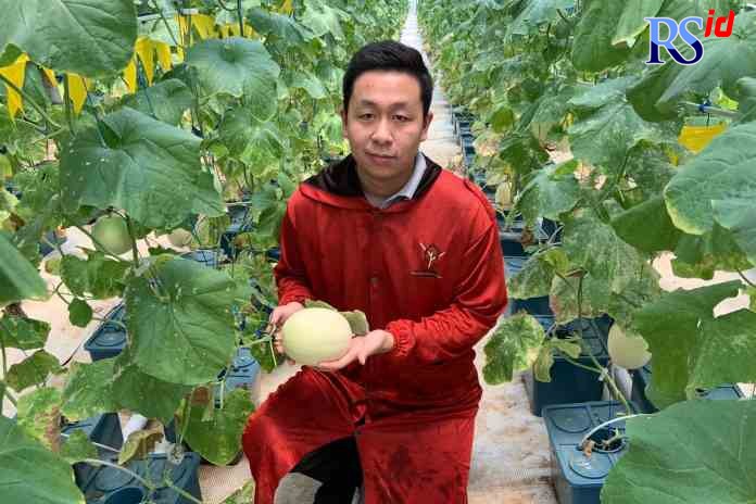 PETANI MILENIAL: Arvin Wijaya menunjukkan buah melon di Laguna Green House yang dibangunnya di Graha Padma Semarang. (KHAFIFAH ARINI PUTRI/JAWA POS RADAR SEMARANG)