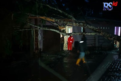 BPBD Kabupaten Temanggung saat meninjau sebuah rumah yang tertimpa pohon pete akibat angin ribut dan hujan es. (Istimewa)