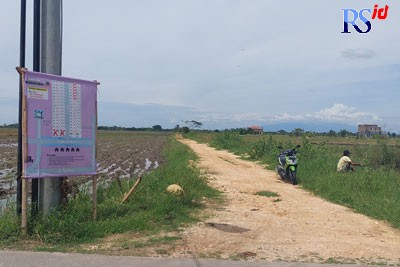 Baliho penjualan kaplingan tanah banyak dipasang dipinggiran jalan di wilayah area persawahan di Kabupaten Demak. (Wahib Pribadi/Jawa Pos Radar Semarang)