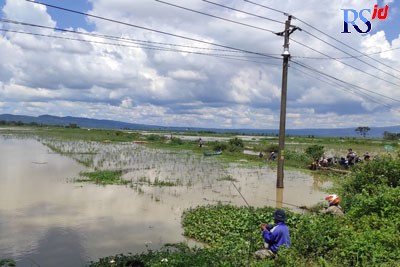 Lahan pertanian warga tergenang akibat debit air Danau Rawa Pening naik. (NURFAIK NABHAN/Jawa Pos Radar Semarang)