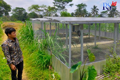 Panel surya yang dipasang di lahan tegalan di Desa Sugihmas. PLTS ini menyalakan pompa air untuk mengatasi kekeringan di wilayah ini. (M. Iqbal Amar/Jawa Pos Radar Semarang)