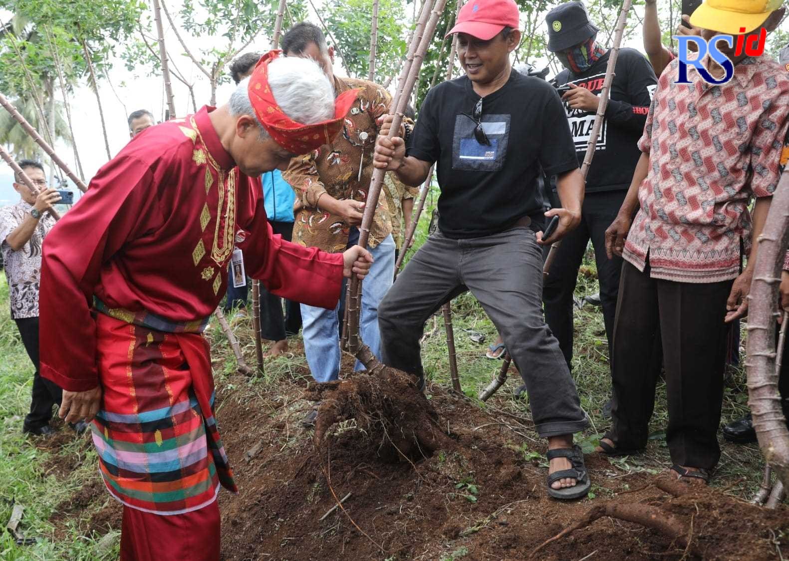 Tinjau Lahan Singkong dan Pengolahan Tepung Mocaf, Ganjar: Ini Praktik Menjaga Ketahanan Pangan Alternatif   Banjarnegara - Ketika isu ketahanan pangan atau produksi pangan alternatif menggema di tengah krisis global. Petani dan industri pertanian di Banj
