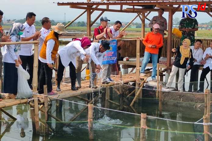 Pj Bupati Batang Lani Dwi Rejeki saat melepaskan benih ikan kerapu. (RIYAN FADLI JAWA POS RADAR SEMARANG)