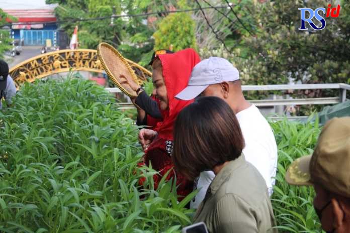 Wakil Wali Kota Semarang Hevearita Gunaryanti Rahayu saat memanen sayur. (KHAFIFAH ARINI PUTRI/JAWA POS RADAR SEMARANG)
