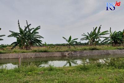 Air sungai di Kabupaten Demak masih digunakan untuk diolah menjadi air bersih bagi masyarakat melalui program Ipas. (Wahib Pribadi/Jawa Pos Radar Semarang)