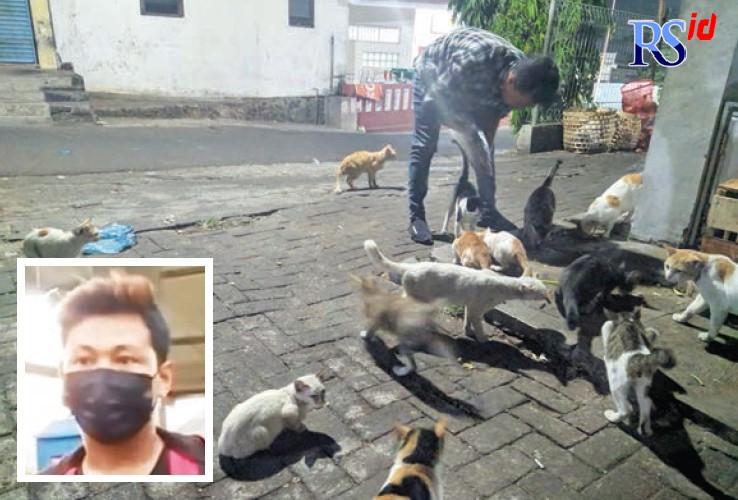 Tri Martono saat memberi makan kucing-kucing liar di pasar tradisional dan tempat sampah di Kota Semarang. (inzet) Tri Martono. (Istimewa)