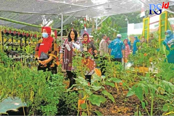 SUMBER PANGAN : Tim juri sedang meninjau taman toga dan sayur yang dikelola PKK RW 12 Kelurahan Srondol Kulon, Kecamatan Banyumanik.(Ridwan Tri Anggoro/ Jawa Pos Radar Semarang)