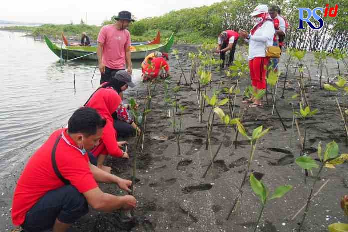 CEGAH ABRASI : Kegiatan menanam mangrove di wilayah RW 04 Kelurahan Tugurejo, Kecamatan Tugu.(ISTIMEWA)