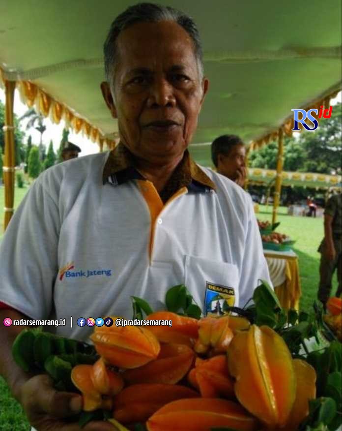 Buah belimbing khas Demak masih dibudidayakan warga. (Wahib Pribadi/Jawa Pos Radar Semarang)