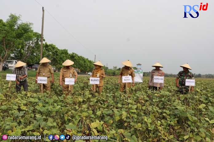Bupati Demak dr Eistianah dalam acara temu lapangan petani di Desa Sarimulyo, Kecamatan Kebonagung. (Wahib Pribadi/Jawa Pos Radar Semarang)