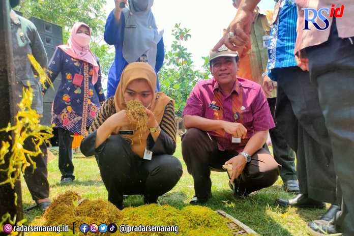 Bupati Demak dr Eistianah dan Kepala Dinpertan Pangan Agus Herawan menunjukkan tembakau hasil program demplot tembakau yang dikembangkan petani. (Wahib Pribadi/Jawa Pos Radar Semarang)