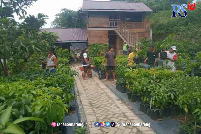 ASRI : Muhammad Fathul Mujib bersama timnya dalam mengelola Kebun Bibit Buah Ku (Bibit Buah dan Tanaman Hias) di Jalan Gebyog Raya, Patemon, Kecamatan Gunungpati, Kota Semarang. (FIGUR RONGGO WASSALIM/ JAWA POS RADAR SEMARANG)