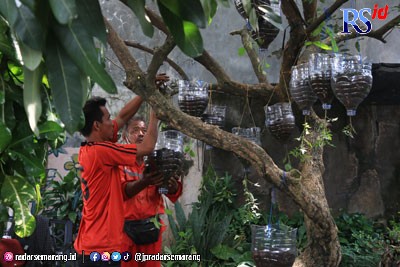 Warga Kecamatan Semarang Timur memanfaatkan galon air mineral menjadi media tanam sayur-sayuran. (NUR CHAMIM/ JAWA POS RADAR SEMARANG)