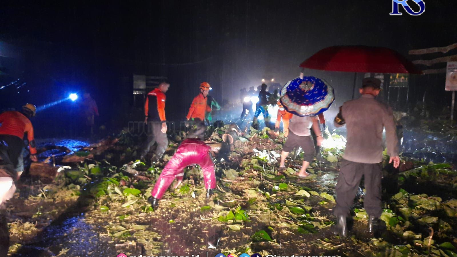 Petugas BPBD bersama sejumlah relawan saat mengevakuasi korban dan pohon tumbang di hutan Cagar Alam Darupono, Jalan Kaliwungu-Boja Rabu (28/12) malam. (Istimewa)
