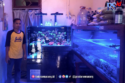 Slamet di depan aquarium budidaya ikan hias air laut miliknya. (Sheva Milannesta/Jawa Pos Radar Semarang)