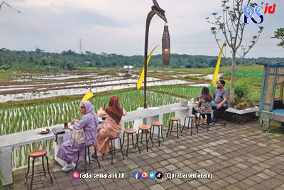 Alam persawahan yang menjadi unggulan Warung Pari Mentes ini terasa menenangkan dengan udara yang masih fresh. (INDAH WULAN/JAWA POS RADAR SEMARANG)