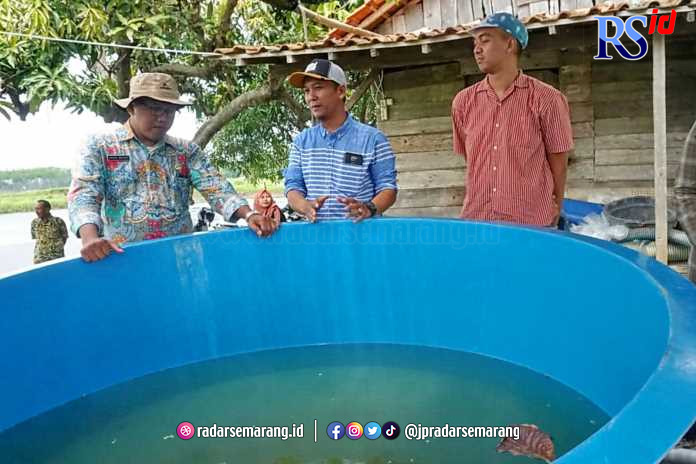 Petambak pesisir Pekalongan sudah mulai praktik di SLBB dipandu langsung ZFRA MCI dan DKP Kota Pekalongan, Rabu (25/1). (Lutfi Hanafi/Jawa Pos Radar Semarang)