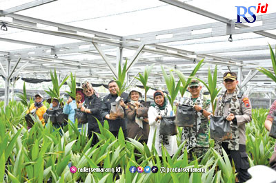 Pj Bupati Batang Lani Dwi Rejeki bersama Menteri Pertanian Syahrul Yasin Limpo saat melakukan penanaman bibit kelapa. (RIYAN FADLI/JAWA POS RADAR SEMARANG)