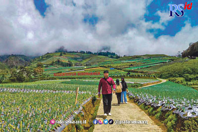 Desa Sukomakmur Kecamatan Kajoran Kabupaten Magelang mengangat potensi sayur untuk wisata. (M. Iqbal Amar/Jawa Pos Radar Semarang)