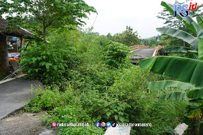 kondisi Jembatan Kalialang yang terputus sejak 2 tahun lalu hingga ditumbuhi tumbuhan liar. (Sheva Milannesta/Jawa Pos Radar Semarang)