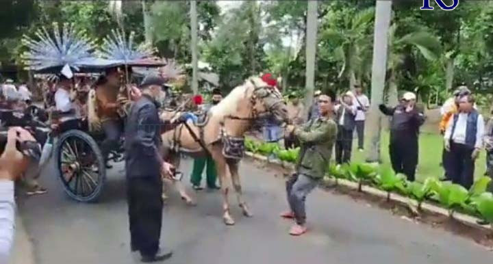 Viral video menampilkan kuda delman yang dinaiki Anies Baswedan dengan beberapa petinggi Partai Keadilan Sosial (PKS) sempat berontak dan tak mau berjalan. Hal itu terjadi Kamis (23/2) kemarin saat rombongan itu hendak ke Kantor DPP PKS untuk pendeklarasi