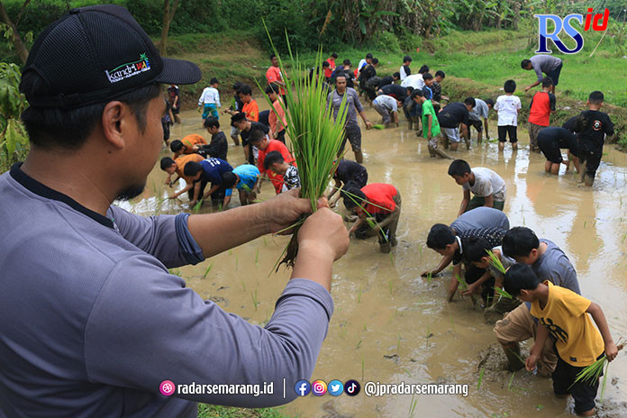 Ratusan siswa SD Hidayatullah Banyumanik Semarang menanam padi bersama di sawah di wilayah Desa Wita Kandri, Kecamatan Gunungpati, Senin (6/3). (NUR CHAMIM/JAWA POS RADAR SEMARANG)