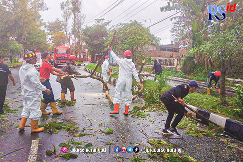 Relawan BPBD, Damkar, TNI, dan Polri melakukan giat pemotongan pohon tumbang pada Senin (27/3) siang. (Istimewa)
