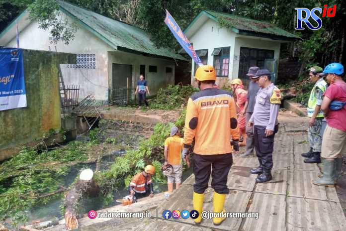petugas Polsek Mertoyudan bersama personel BPBD, Linmas, dan relawan melakukan  penanganan dan membersihkan batang pohon yang tumbang Rabu (22/3). (Istimewa)