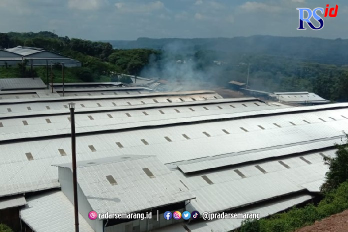 KEBAKARAN: Kondisi suasana kebakaran di PT JWI, Banyuputih terlihat dari atas bangunan. (Ist)