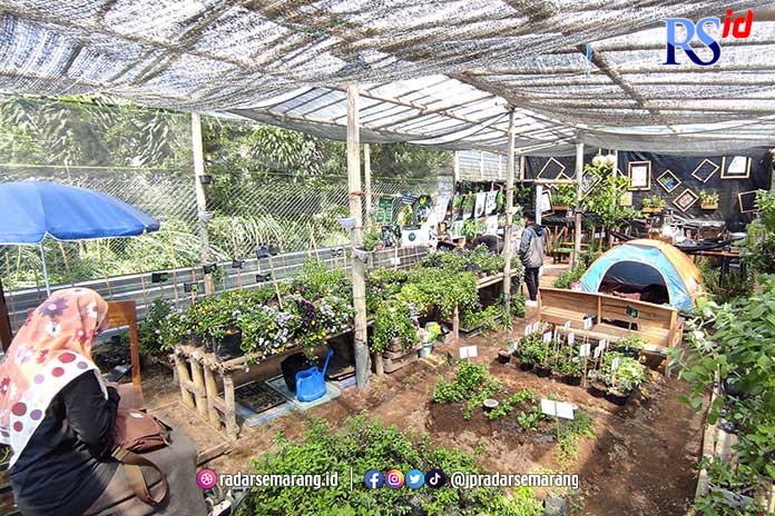 Sejumlah pengunjung bisa menikmati berwisata bareng keluarga dan bisa memetik langsung tanaman herbal dari kebun. (NUR FAIK /JAWA POS RADAR SEMARANG)